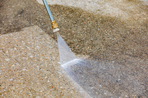 Best Sidewalk and Walkway Cleaning  in Onalaska, TX